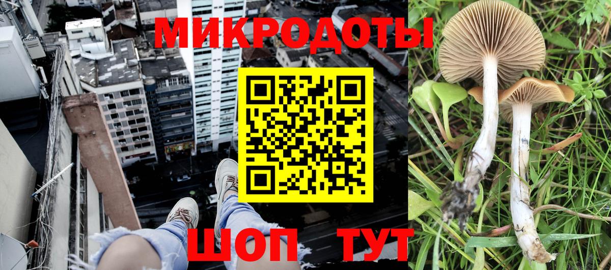 Галлюциногенные грибы мицелий  купить наркотик  Галлюциногенные грибы Psilocybine cubensis  Донецк  Вход с VPN 