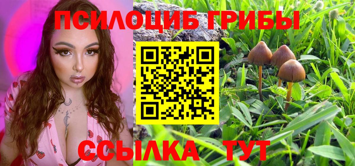 Псилоцибиновые грибы Psilocybe Донецк
