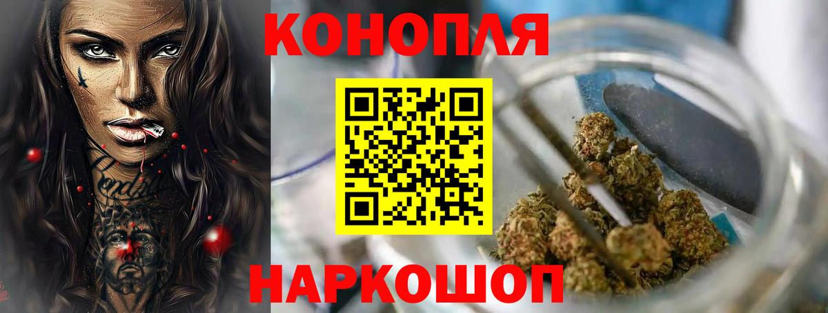 Марихуана конопля  Шишки марихуана план  Донецк  Канабис сатива  Бошки Шишки OG Kush  Вход с VPN 